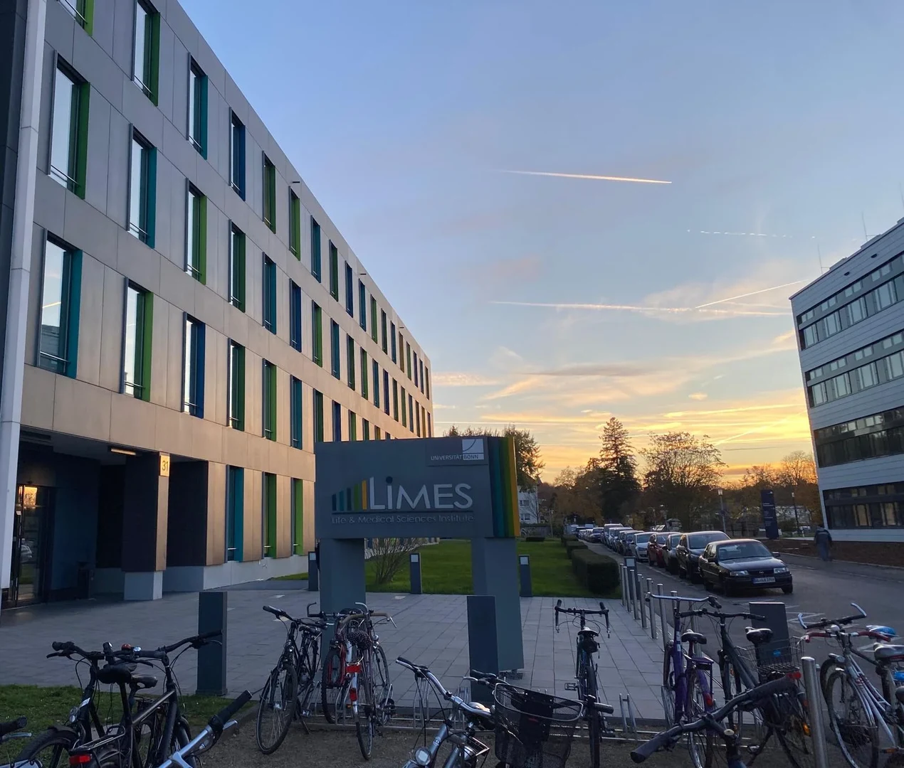 Sommersemester